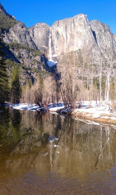 Nature'S Inn Bed And Breakfast Ahwahnee Luaran gambar