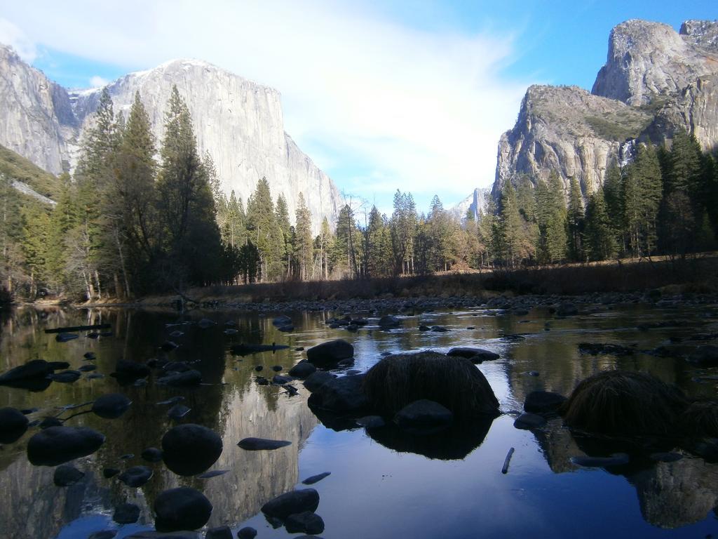 Nature'S Inn Bed And Breakfast Ahwahnee Luaran gambar